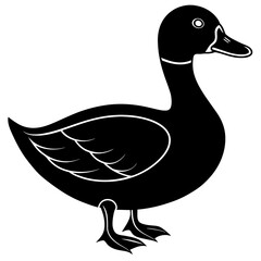 duck on white