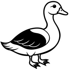illustration of a duck