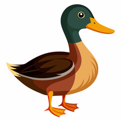 illustration of a duck