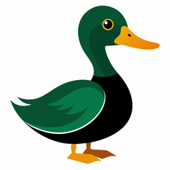 illustration of a duck