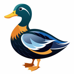 illustration of a duck