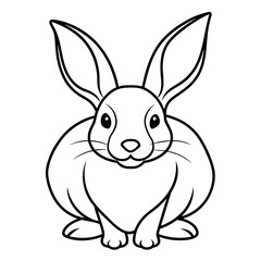 illustration of a rabbit