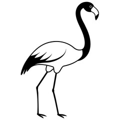 illustration of a flamingo