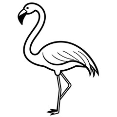 illustration of a flamingo
