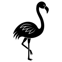 illustration of a flamingo