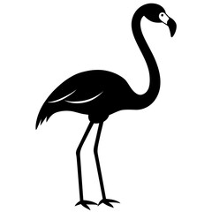 illustration of a flamingo