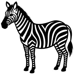 zebra vector illustration