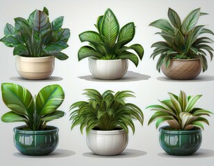 Fototapeta premium Green plant in a pot. Collection of 3d realistic icon illustration potted plants for the interior. Isolated on white background.