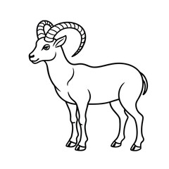 Fototapeta premium illustration of a deer line art vector