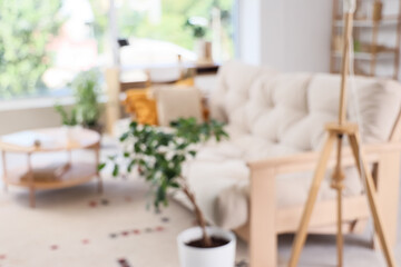 Blurred view of light living room with sofa, table and plants