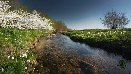 Peaceful Brook Landscape Background