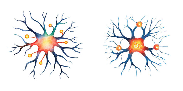 Colorful Neuron Drawing with Branches and Synapses for Science