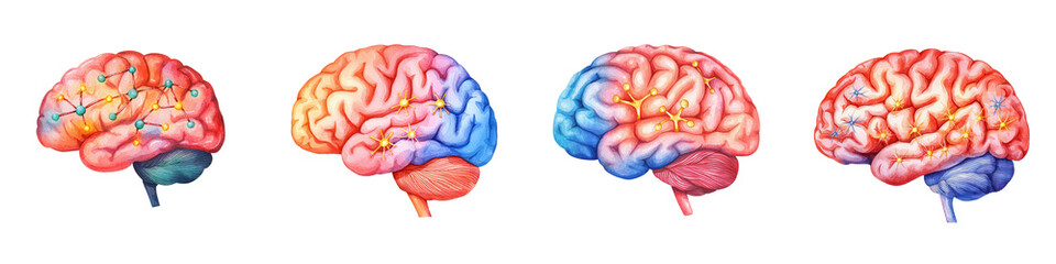 Colorful Drawing of Human Brain with Activity and Connection Highlights