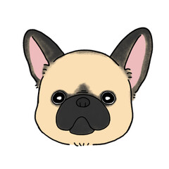 フレンチブルドッグの顔(フォーン)