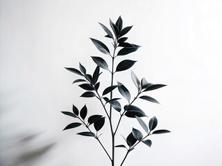 Fototapeta premium Isolated Green Plant against White Background