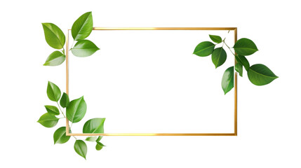 frame with leaves isolated on white background 