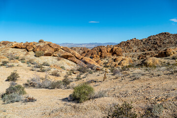 Hike through the stone desert to the oasis at Fortynine Palms, Joshua Tree National Park, California