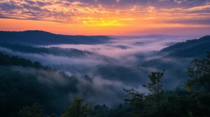 Obraz premium Misty Mountain Valley Sunrise Landscape
