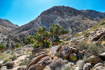 Joshua Tree National Park Hiking Trail Landscape Series, Fortynine Palms Oasis Trail entrance, and rugged rocks and hills, in Twentynine Palms, Southern California, USA
