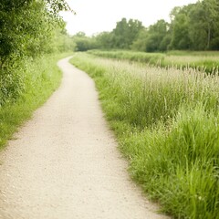 Obraz premium Nature walk through serene green path rural landscape daylight tranquility