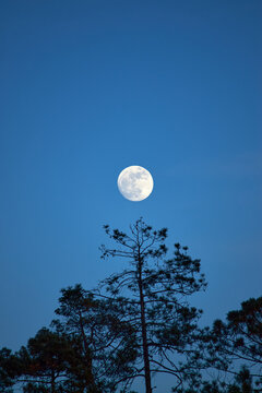 Parque Natural Mexiquillo