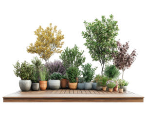 vibrant rooftop garden featuring various potted plants and wooden deck creates serene outdoor space. lush greenery and colorful foliage enhance tranquil atmosphere