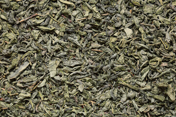 Texture of dried green tea leaves as background