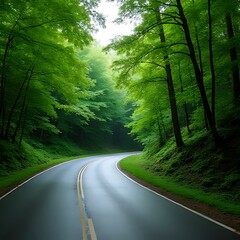 Obraz premium road in the woods