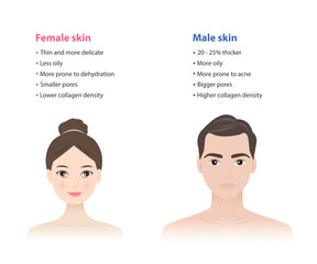 Obraz premium The difference between female and male skin vector illustration isolated on white background. Men's and women's skin differ in several ways, thickness, oiliness, pores, collagen content, hair growth.