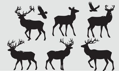 A collection of deers and antlers including deer deer antlers and antlers