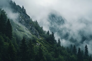 Misty Mountain Forest Landscape, Clouds, Conifers, Rocks, Nature Background, Hiking