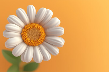 Close-up of a white daisy flower on an orange background with soft lighting and shallow depth of field