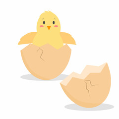 illustration of a newly hatched yellow chick emerging from a cracked eggshell, cracked eggshell and chick cartoon