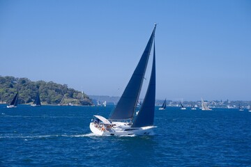 sailboat on the sea
