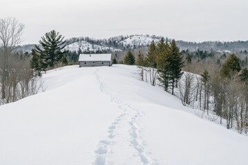 Snow-covered hill leading to a small cabin in a winter landscape.