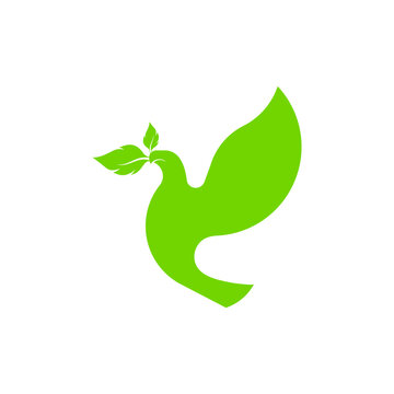 illustration of the logo image of a pigeon carrying leaves with its beak. isolated on white background