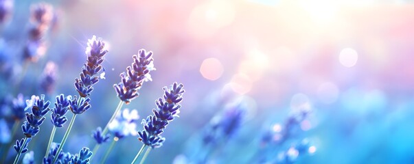 A soothing blue and lavender gradient with soft light flares and a calming vibe