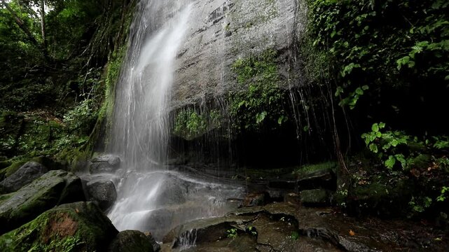 Natural waterfall footage in tropical forest