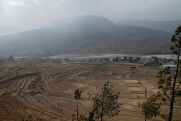 terraced rice field in Bhutan