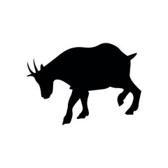Goat Silhouette had sharp horn