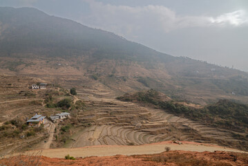 terraced rice field in Bhutan