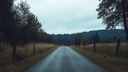 Fototapeta premium Serene country road through lush green forest on overcast day.