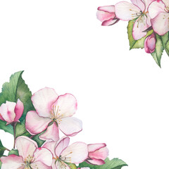 Watercolor apple bloom frame. Retro pink flowers (apple, cherry blossom). Floral frame for vintage greeting card. Aquarelle