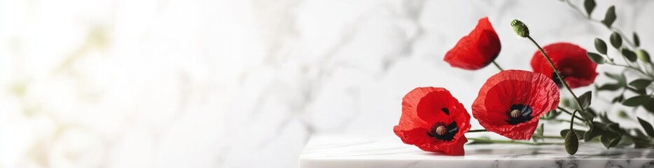 Obraz premium Vibrant red poppies on marble surface.