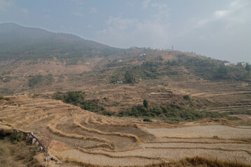 terraced rice field in Bhutan