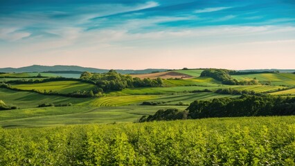Fototapeta premium Lush green agricultural fields stretch across the foreground under clear blue skies with rolling hills in the background showcasing vibrant natural beauty