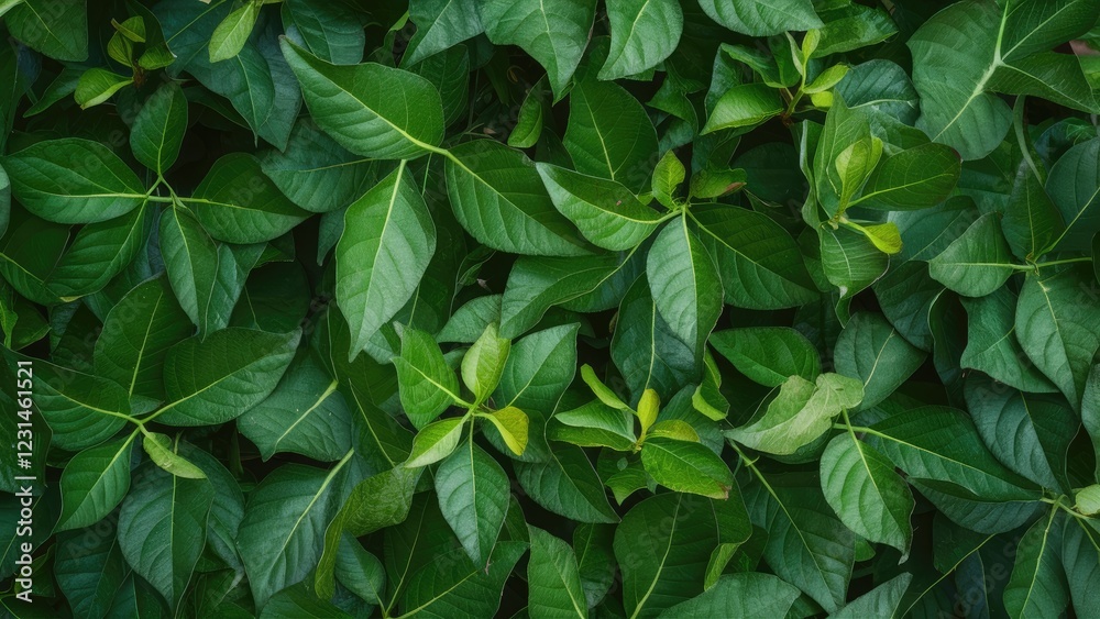 Fototapete Lush green leaf branches create an intricate floral pattern background with varying shades of green, neatly arranged in a top view perspective.