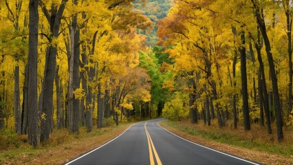 Fototapeta premium Winding road through vibrant yellow and orange autumn trees with a lush green backdrop, showcasing the beauty of the fall season in the woods.