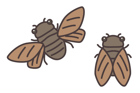 飛んでいるセミと止まっているセミのイラスト