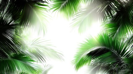 Obraz premium Tranquil coconut palm tree leaves framing lush tropical nature scene